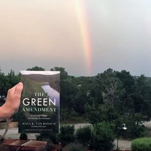  the Green Amendment movement book